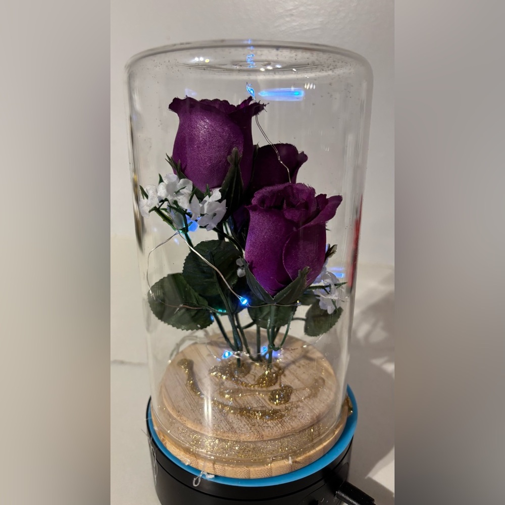Enchanted Purple Rose Dome with LED Lights
